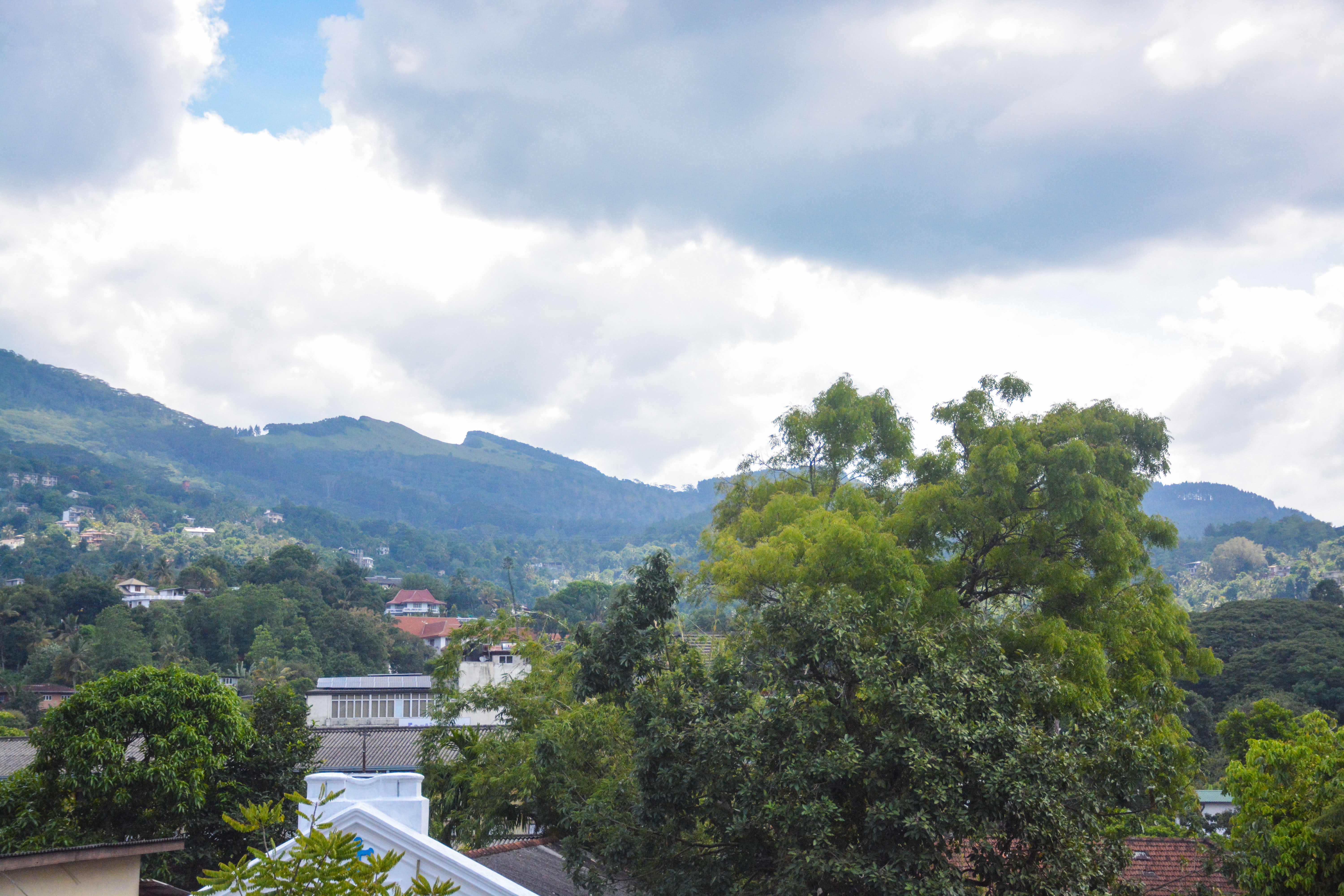 Aloy Restaurant Interior